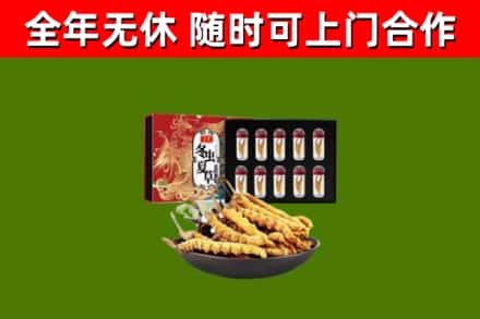 宜宾烟酒回收冬虫夏草礼盒.jpg